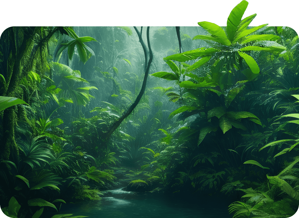 Forest Restoration & Conservation